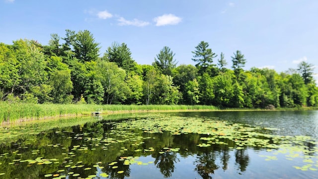 26810 Hart Lake Rd, Pengilly, MN 55775