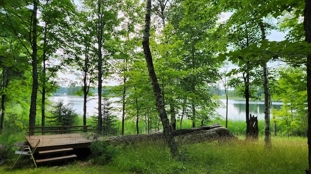 26810 Hart Lake Rd, Pengilly, MN 55775