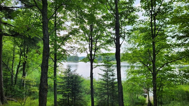 26810 Hart Lake Rd, Pengilly, MN 55775