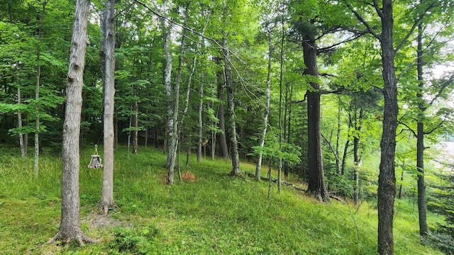26810 Hart Lake Rd, Pengilly, MN 55775