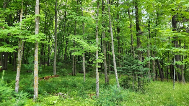 26810 Hart Lake Rd, Pengilly, MN 55775