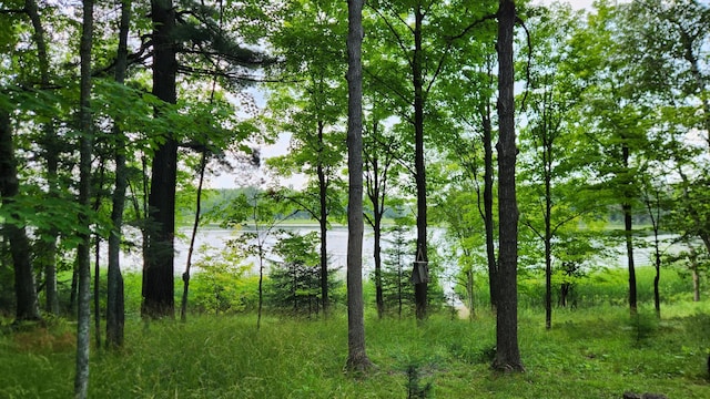 26810 Hart Lake Rd, Pengilly, MN 55775