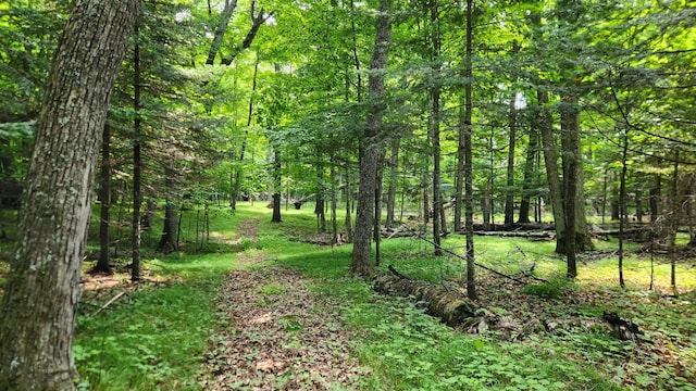 26810 Hart Lake Rd, Pengilly, MN 55775