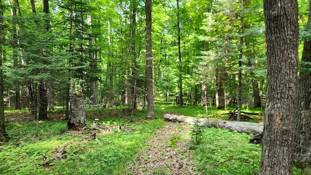 26810 Hart Lake Rd, Pengilly, MN 55775