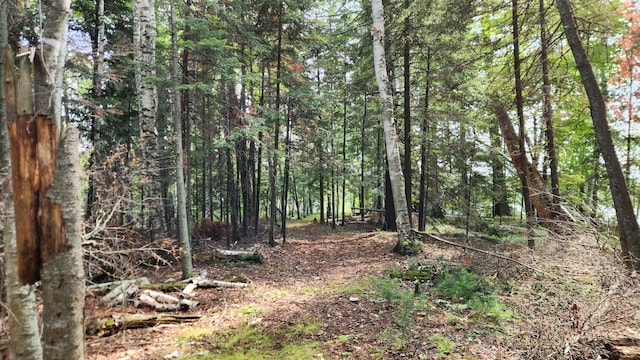 26810 Hart Lake Rd, Pengilly, MN 55775
