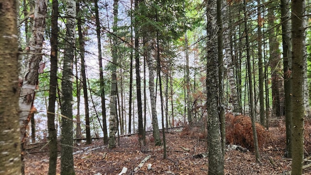 26810 Hart Lake Rd, Pengilly, MN 55775