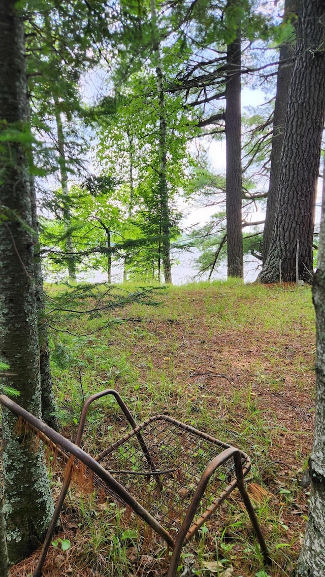 26810 Hart Lake Rd, Pengilly, MN 55775