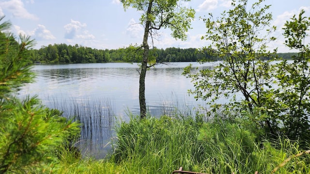 26810 Hart Lake Rd, Pengilly, MN 55775