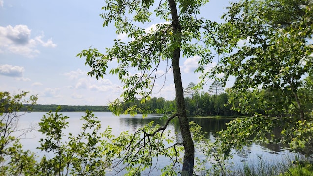 26810 Hart Lake Rd, Pengilly, MN 55775