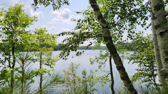 26810 Hart Lake Rd, Pengilly, MN 55775