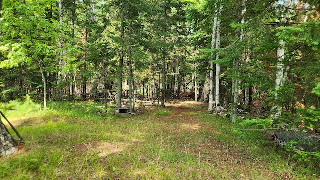 26810 Hart Lake Rd, Pengilly, MN 55775