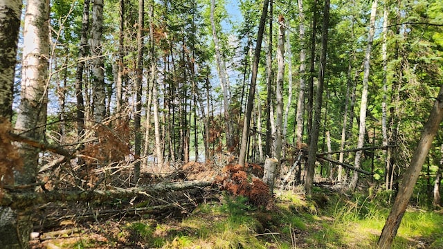 26810 Hart Lake Rd, Pengilly, MN 55775