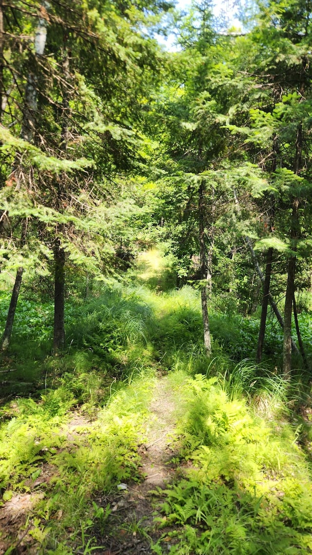 26810 Hart Lake Rd, Pengilly, MN 55775