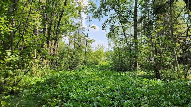 26810 Hart Lake Rd, Pengilly, MN 55775