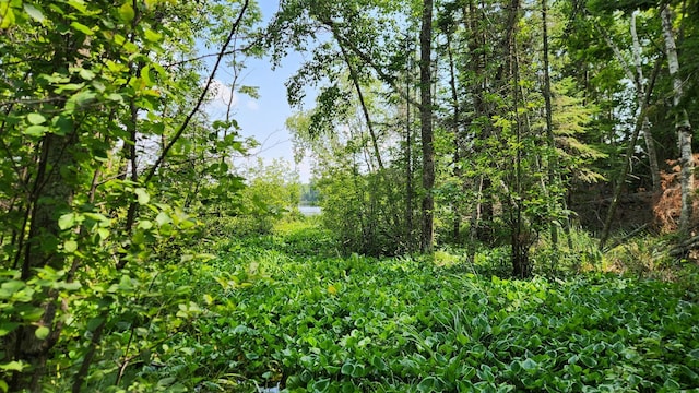 26810 Hart Lake Rd, Pengilly, MN 55775