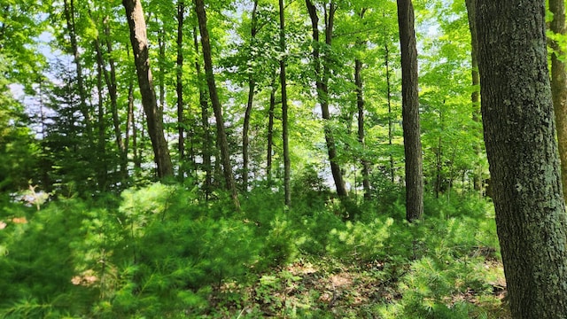 26810 Hart Lake Rd, Pengilly, MN 55775
