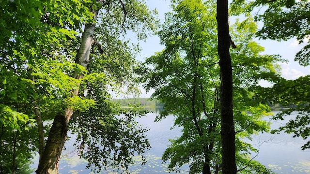 26810 Hart Lake Rd, Pengilly, MN 55775