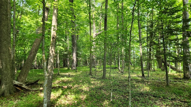 26810 Hart Lake Rd, Pengilly, MN 55775