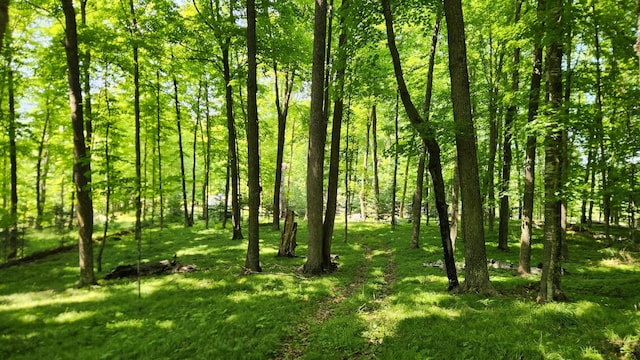 26810 Hart Lake Rd, Pengilly, MN 55775