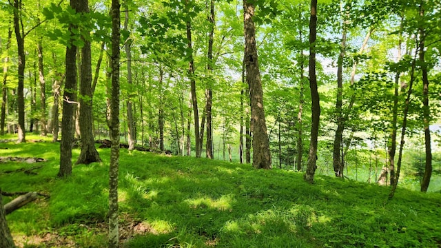 26810 Hart Lake Rd, Pengilly, MN 55775