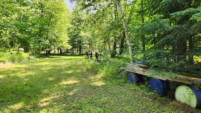 26810 Hart Lake Rd, Pengilly, MN 55775