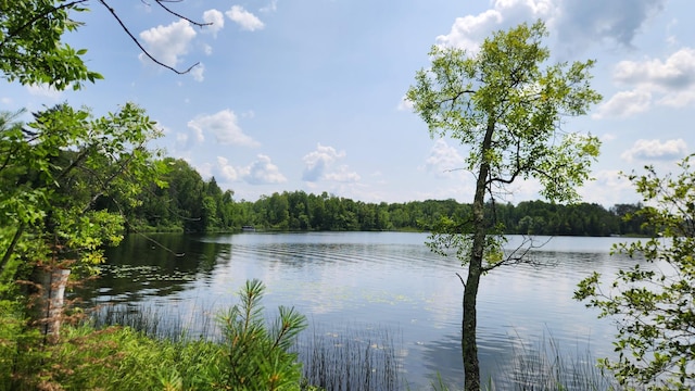 26810 Hart Lake Rd, Pengilly, MN 55775