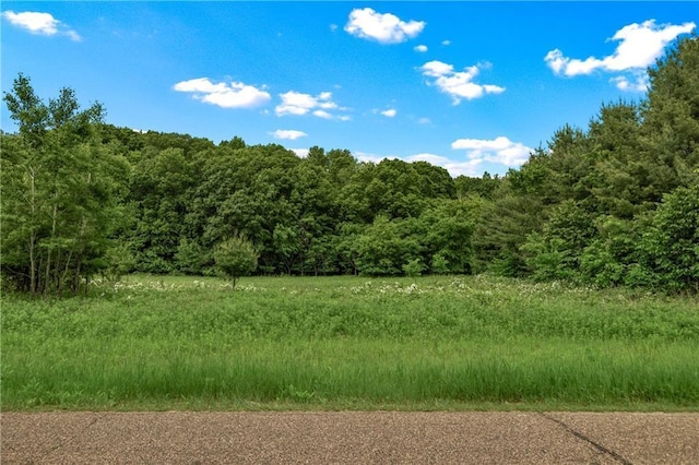N4015 420th St, Menomonie, WI 54751 - photo 1