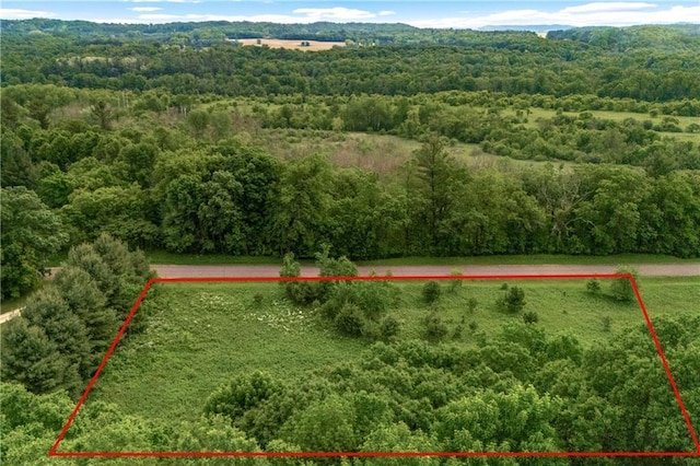 N4015 420th St, Menomonie, WI 54751 - photo 8