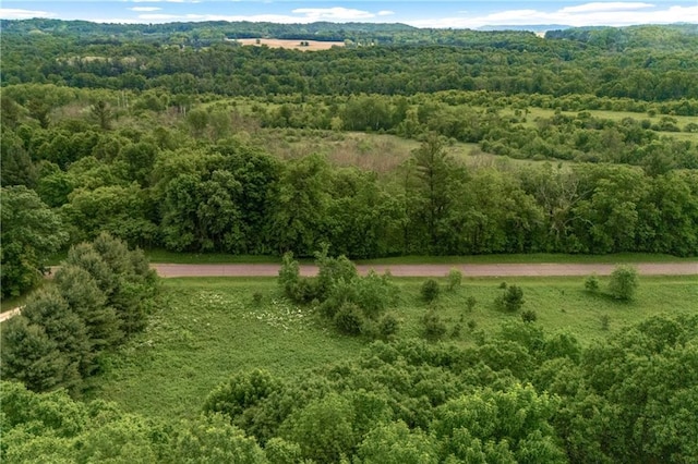 N4015 420th St, Menomonie, WI 54751 - photo 12