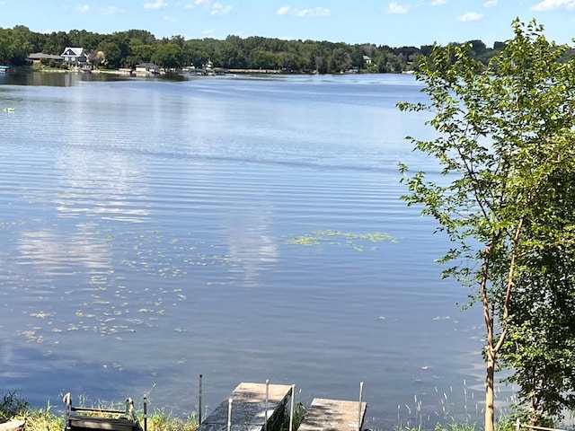 633 County Road B2 E, Little Canada, MN 55117 - photo 39