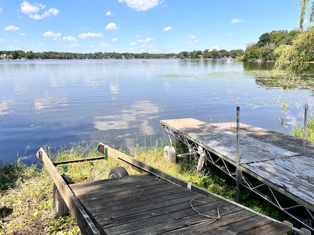 633 County Road B2 E, Little Canada, MN 55117 - photo 40