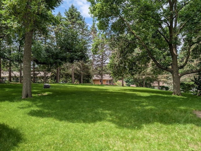 1132 Westbury Cir, Eagan, MN 55123 - view of grassy yard