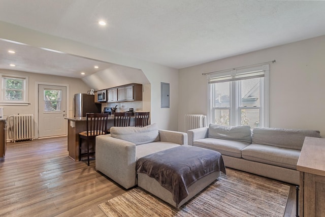 981 Bayless Ave, Saint Paul, MN 55114 - living room with radiator heating unit, electric panel, light wood finished floors, recessed lighting, and vaulted ceiling