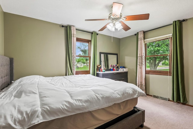 7795 Van Buren St NE, Spring Lake Park, MN 55432 - bedroom with multiple windows, carpet flooring, and a ceiling fan
