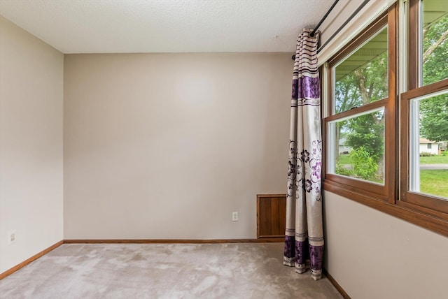 7795 Van Buren St NE, Spring Lake Park, MN 55432 - unfurnished room with plenty of natural light and carpet floors