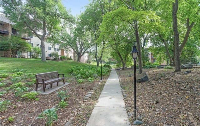 10311 Cedar Lake Rd Unit 210, Minnetonka, MN 55305 - view of home's community featuring a yard