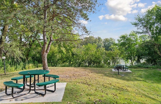 10311 Cedar Lake Rd Unit 210, Minnetonka, MN 55305 - surrounding community with a lawn