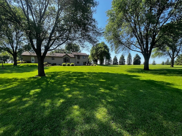 4095 125th St SE, Granite Falls, MN 56241 - view of green lawn