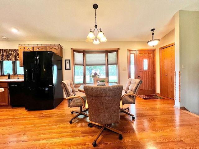 4095 125th St SE, Granite Falls, MN 56241 - dining area with light wood-style flooring, plenty of natural light, and a chandelier