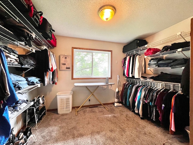 4095 125th St SE, Granite Falls, MN 56241 - spacious closet featuring carpet flooring