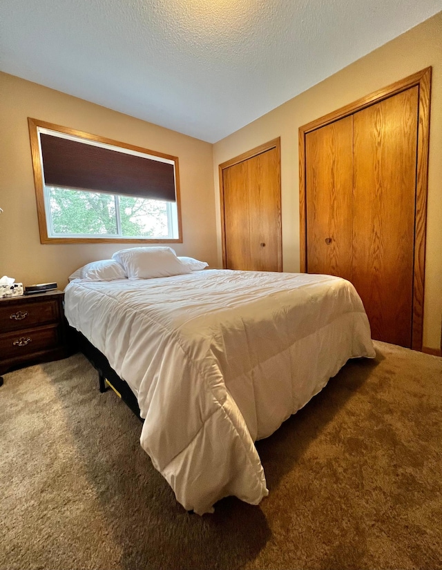 4095 125th St SE, Granite Falls, MN 56241 - bedroom with carpet flooring, two closets, and a textured ceiling