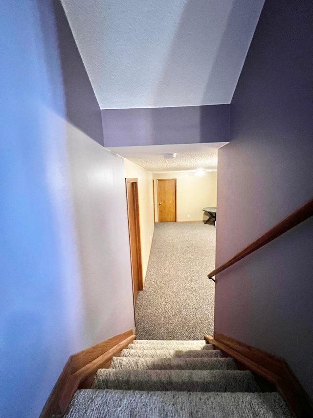 4095 125th St SE, Granite Falls, MN 56241 - stairs with carpet and a textured ceiling