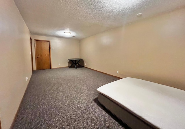 4095 125th St SE, Granite Falls, MN 56241 - finished basement featuring carpet floors and a textured ceiling
