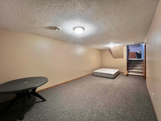 4095 125th St SE, Granite Falls, MN 56241 - additional living space featuring carpet floors and a textured ceiling