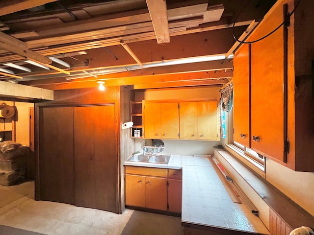 4095 125th St SE, Granite Falls, MN 56241 - below grade area featuring a sink