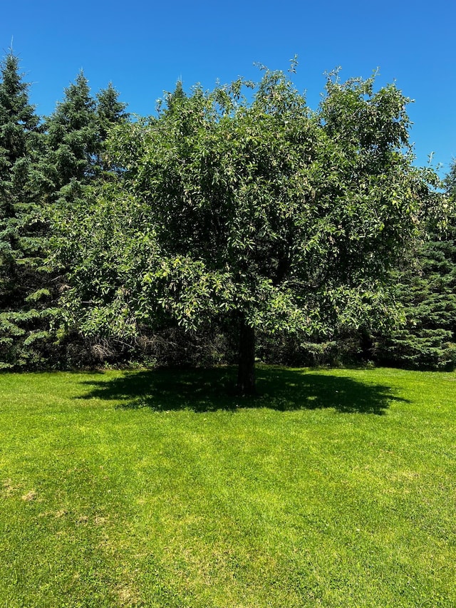 4095 125th St SE, Granite Falls, MN 56241 - view of green lawn