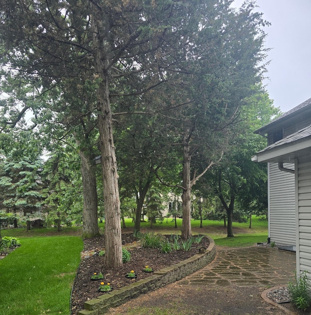 2248 151st Ave NW, Andover, MN 55304 - view of grassy yard