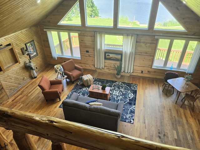 45356 140th St, Swan Lake Twp, MN 56235 - living area featuring wooden walls, wood-type flooring, and high vaulted ceiling