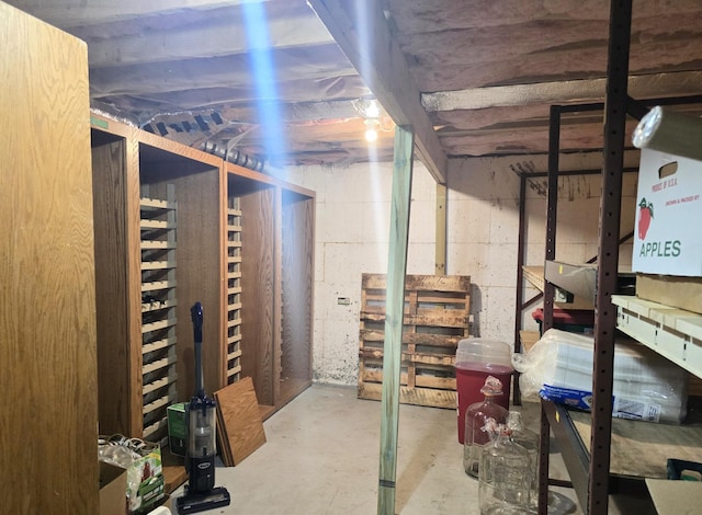 45356 140th St, Swan Lake Twp, MN 56235 - view of unfinished basement