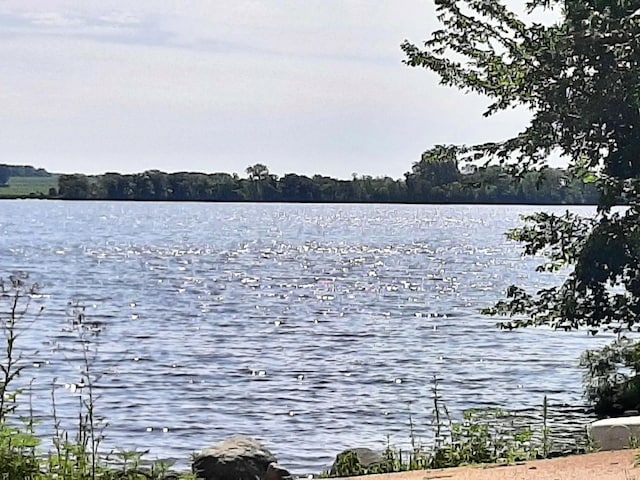 45356 140th St, Swan Lake Twp, MN 56235 - water view